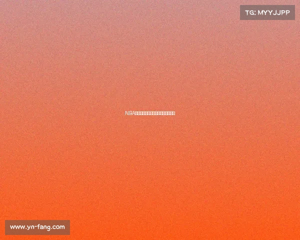 NBA黑马崛起：探索新兴球队的惊人崛起